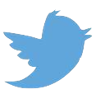 Logo for twitter